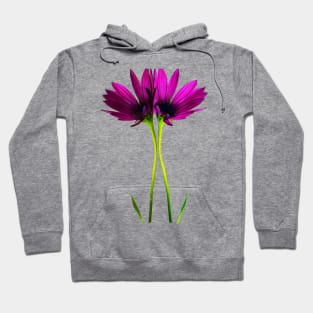 Pink Daisy Flowers Hoodie